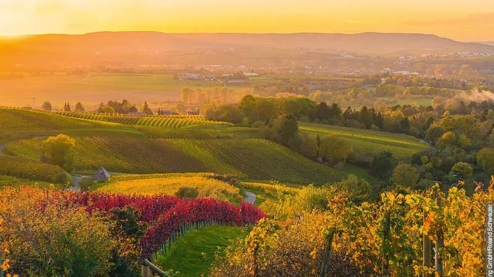 a landscape image of heilbronn countryside